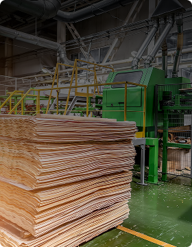 Bio-Degradable Packaging